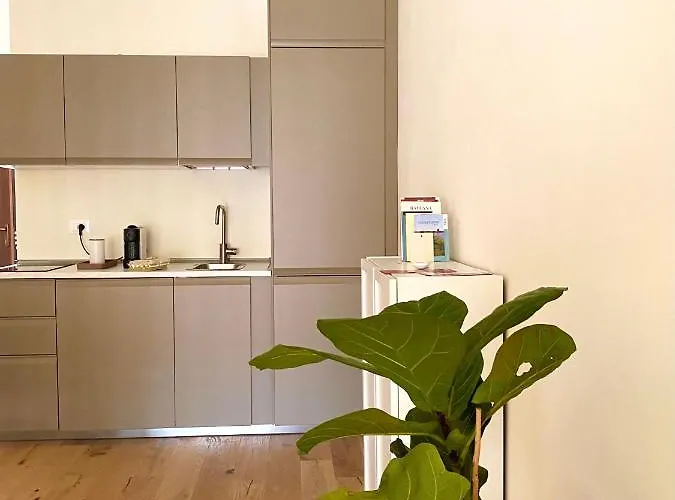 Teodora Safran 拉文纳