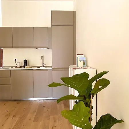 Teodora Safran 拉文纳