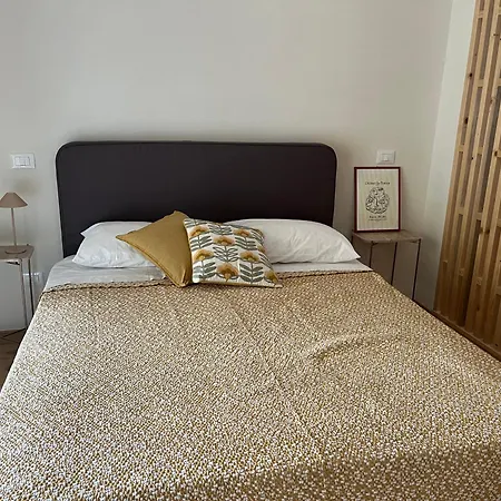 Teodora Safran 아파트 *