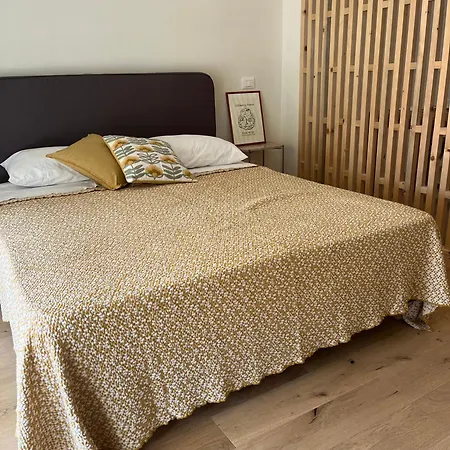 Teodora Safran 拉文纳