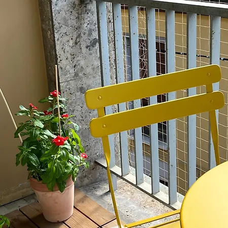 Teodora Safran 拉文纳