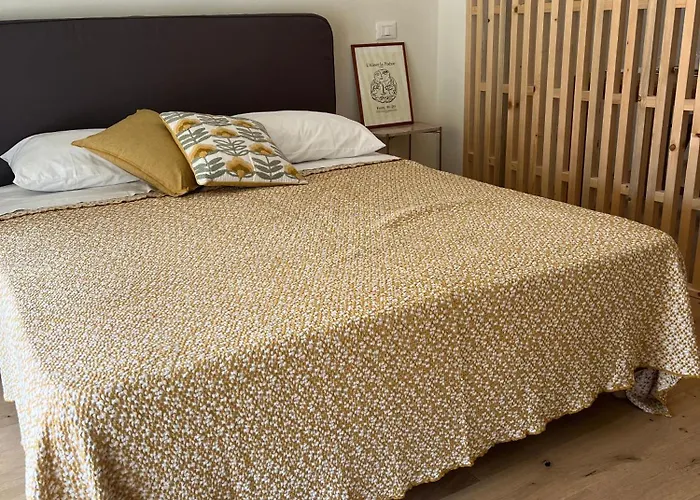 Teodora Safran 라벤나