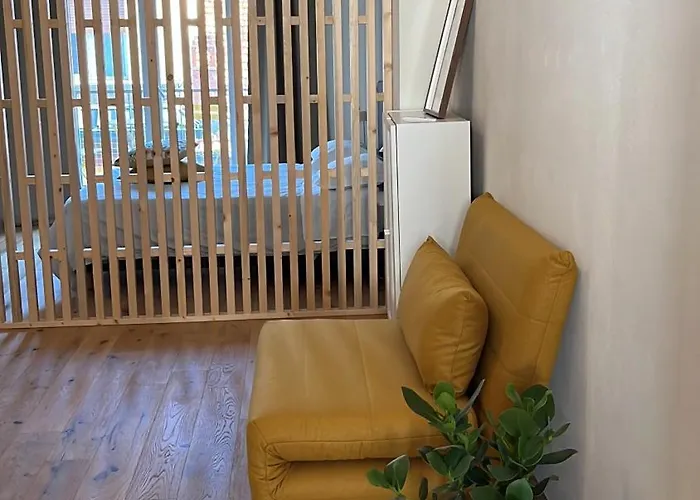 Teodora Safran 公寓 *